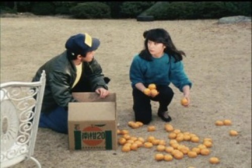 PDVD_003.jpg