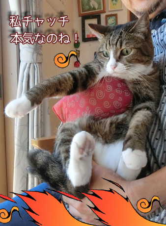 c.jpg