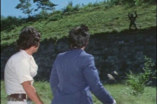PDVD_034.jpg