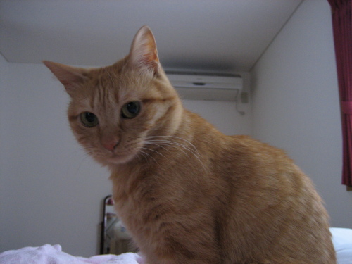 Nov. 29, 2014(1).JPG