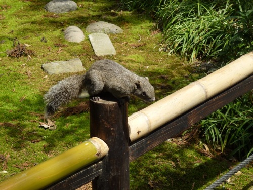 白旗神社前.jpg