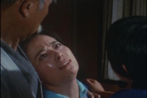 PDVD_012.jpg