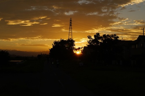 P1160087 のコピー.JPG