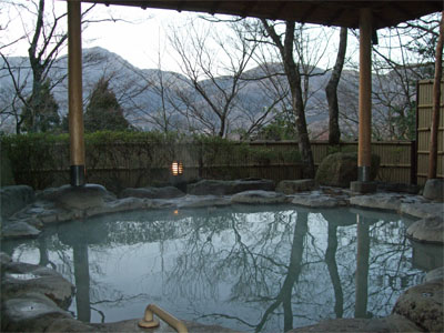 奥の樹々42.jpg