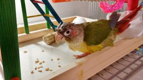 1387464279878 (800x450).jpg