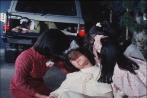 PDVD_222.jpg