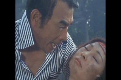 PDVD_009.jpg