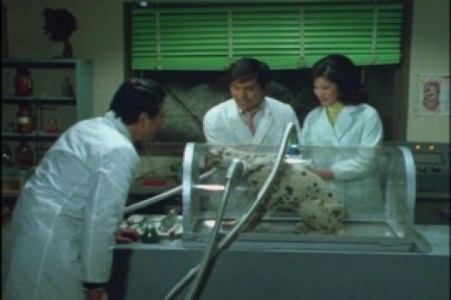 PDVD_000.jpg