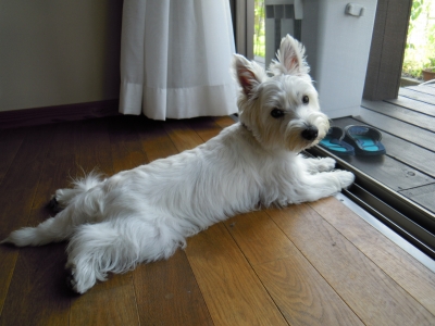 20100724.jpg