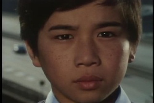 PDVD_003.jpg