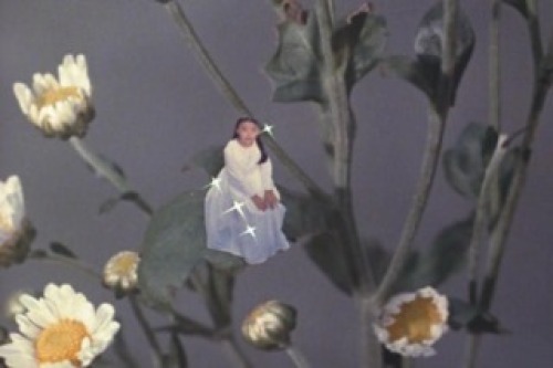 PDVD_017.jpg