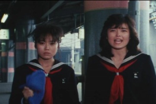 PDVD_027.jpg