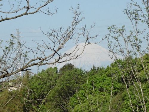 富士山.jpg