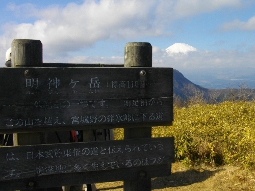 箱根外輪山 (2) (500x375).jpg