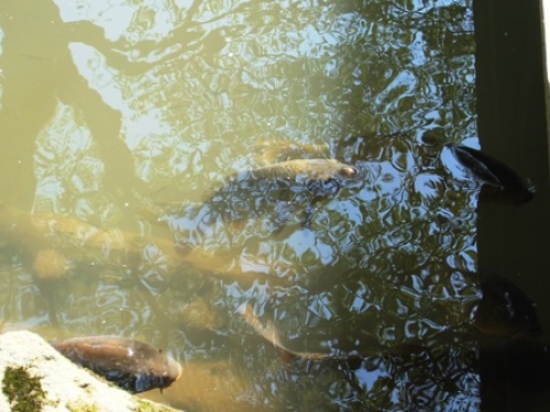 DSCF1156.JPG