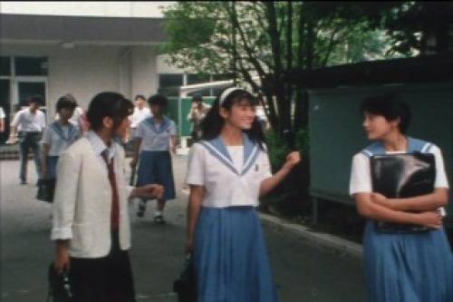 PDVD_006.jpg