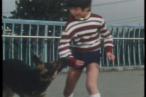 PDVD_019.jpg