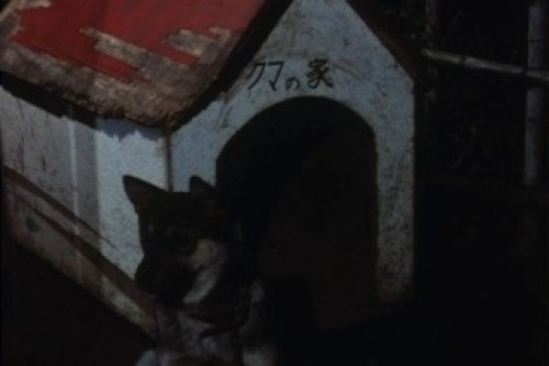 PDVD_008.jpg