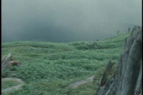 PDVD_033.jpg