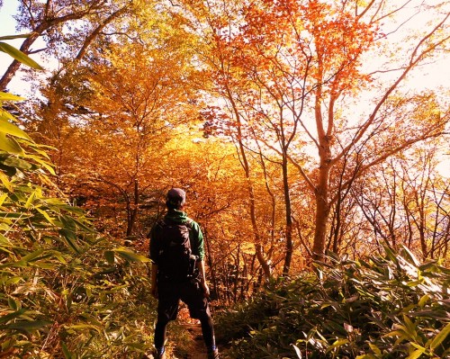 dc100901(修整1) - コピー.JPG