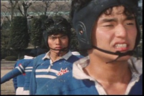PDVD_065.jpg