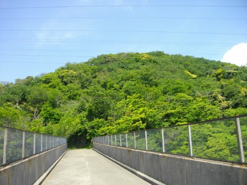 大楠山 (26) (500x375).jpg