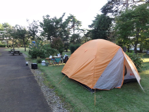 DSC07429.jpg