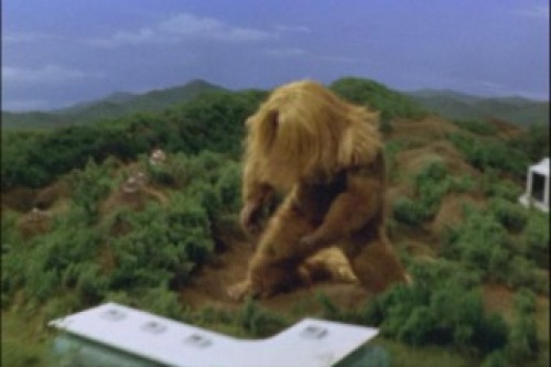 PDVD_043.jpg