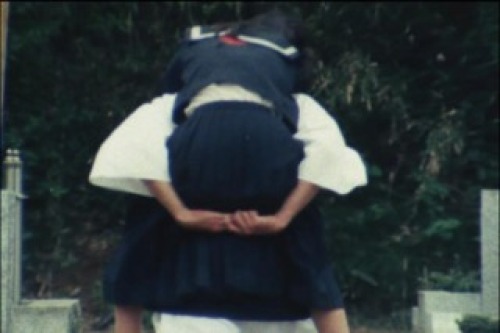 PDVD_030.jpg