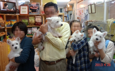 7メディマル.jpg