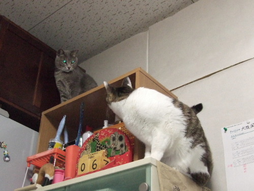 2012_02100008.JPG