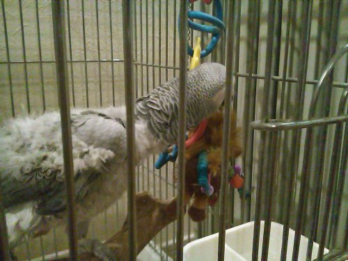 3 住み心地はいかが？。。。.JPG