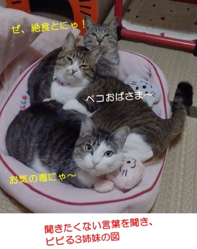 20150403_4.jpg