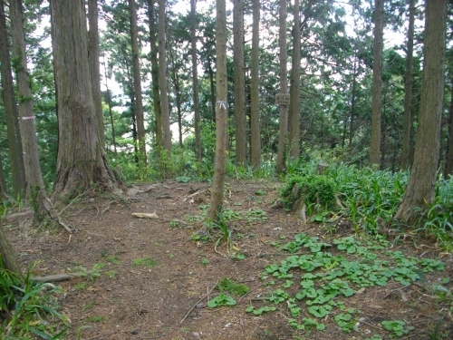 辛垣城辛垣山頂 (500x375).jpg