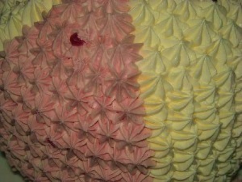 DSCN6103 (300x225).jpg