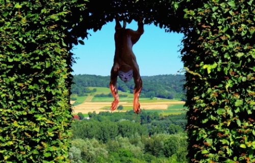 pict-メルク庭 9.jpg