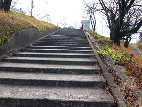 DSCF6686.JPG