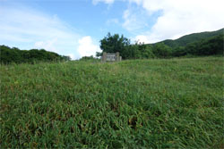 佐渡116.jpg