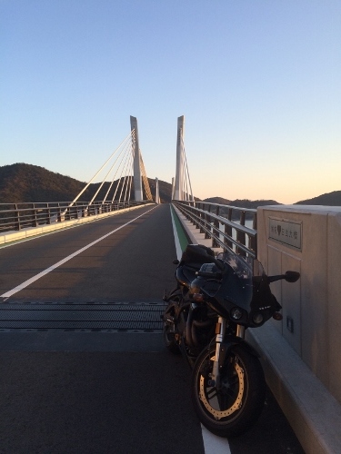 280117_14 (500x375).jpg