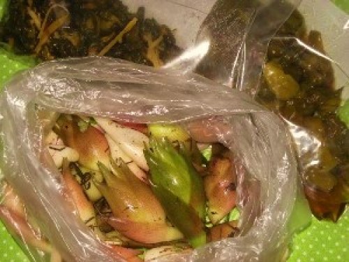 DSCN0665 (300x225).jpg