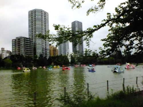 DSCF4252.JPG