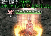 キングクラブの巣