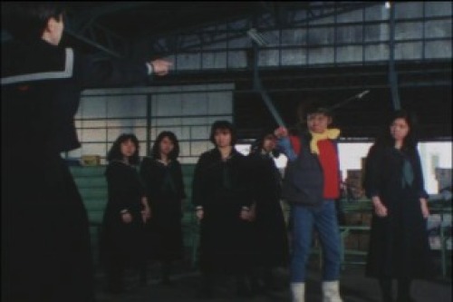 PDVD_004.jpg