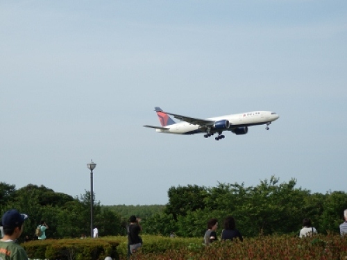 P6240236 (400x300).jpg