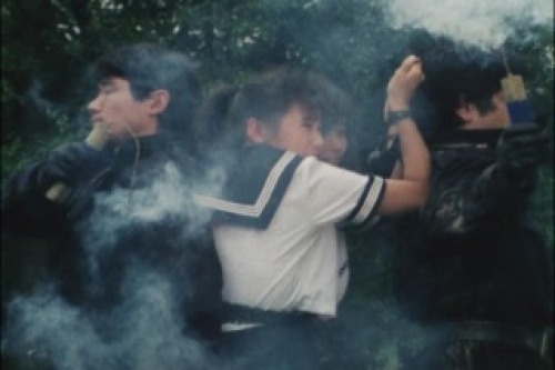 PDVD_023.jpg