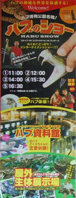 沖縄340.jpg