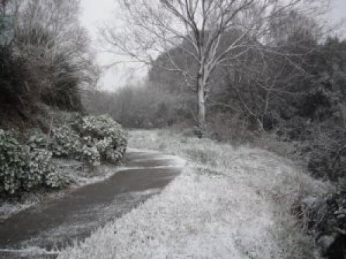 DSCF2768.jpg