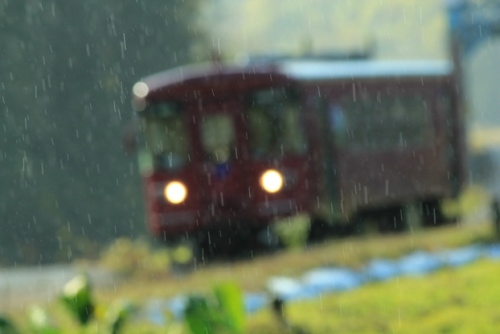 ながらIMG_3828.jpg 雨.jpg