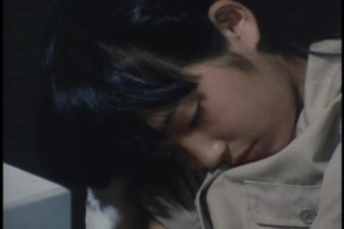 PDVD_011.jpg