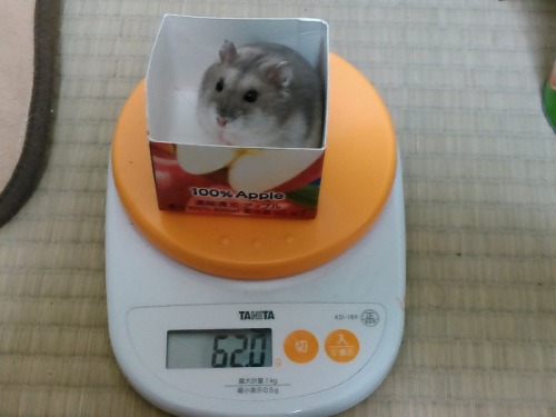 KIMG0035.jpg